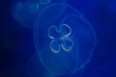 2015 08 10T16 21 00 IMG 0912