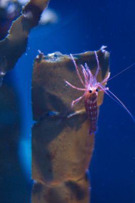 2015 08 10T16 24 00 IMG 0919