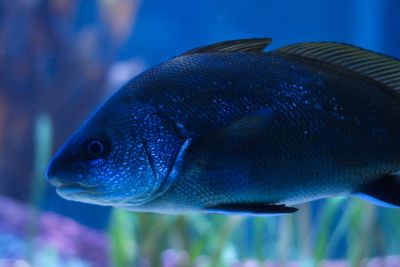 2015 08 10T16 27 02 IMG 0924