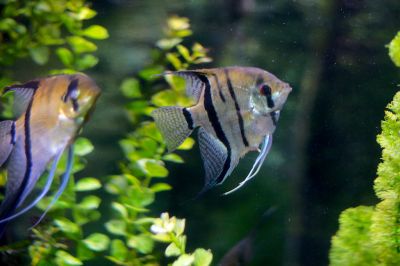 2015 08 10T16 40 16 IMG 0942