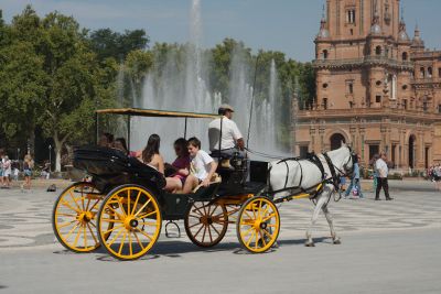 2015 08 12T11 59 23 IMG 0961