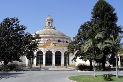 2015 08 12T12 18 39 IMG 1365