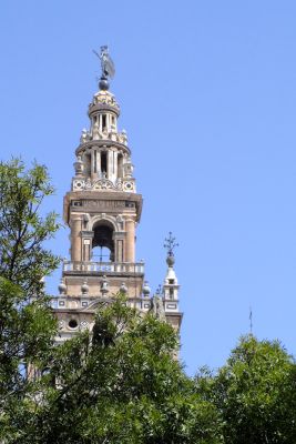 2015 08 12T12 40 00 IMG 1388