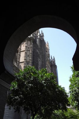 2015 08 12T13 11 10 IMG 1426