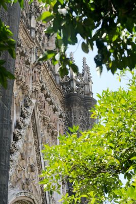 2015 08 12T13 26 55 IMG 0979