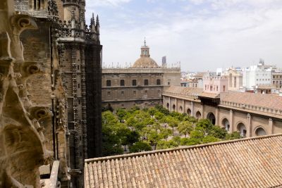 2015 08 12T14 12 13 IMG 1501