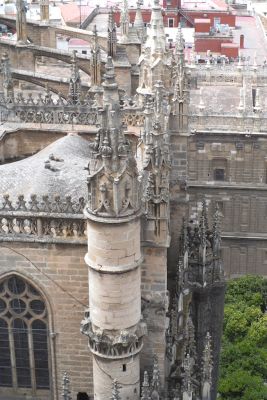 2015 08 12T14 21 26 IMG 1515