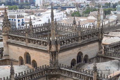 2015 08 12T14 22 08 IMG 1516