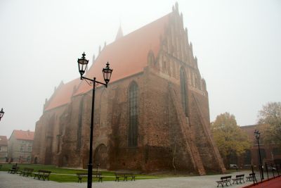 2014 11 09T13 42 22 IMG 9458