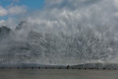 2013 08 14T11 12 38 IMG 7484