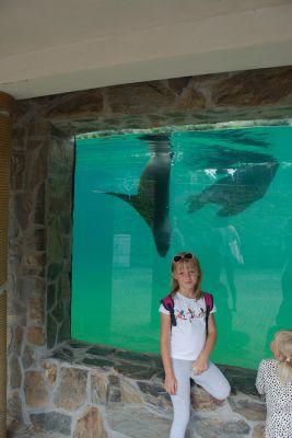 2013 08 14T14 59 07 IMG 7577