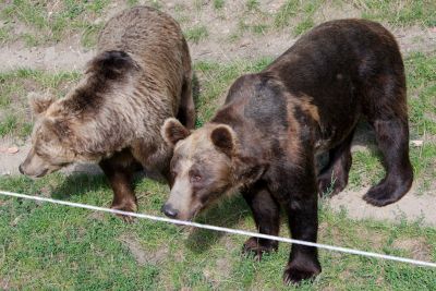 2013 08 14T15 25 40 IMG 7587