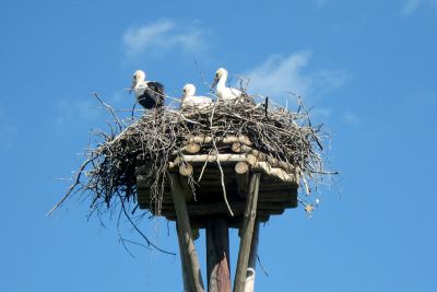 2013 07 18T14 23 41 IMG 6692