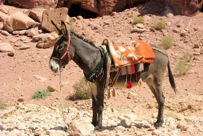 2012 08 02T09 44 06 02 00 IMG 5387