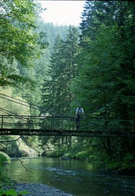 8812065346 2fc415f8cd o