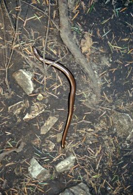 8812065696 43b1234074 o