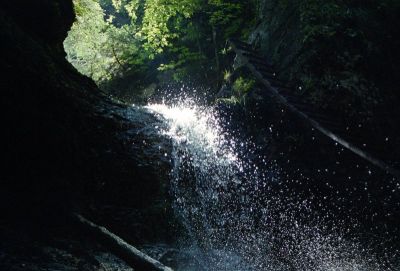 8812066334 fc6b6a9cbd o