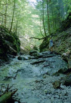 8812068338 8b12c65866 o