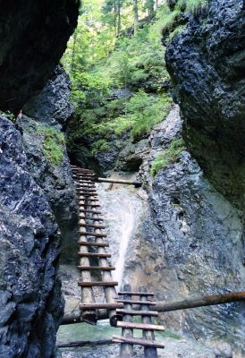 8812070716 b7fc26b250 o