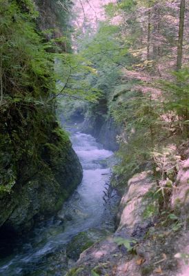 8812077922 f72c861a89 o