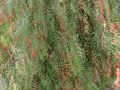 2012 08 04T14 45 12 02 00 IMG 5595