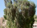 2012 08 04T14 48 18 IMG 5360