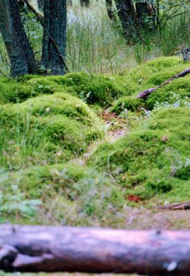 8851299632 74939f89cf o