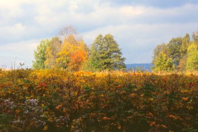 8802623493 79bbd1c236 o