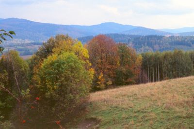 8802623913 3a9abd2562 o