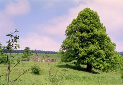 cmentarz w dugiem k radocyny 8813108232 o