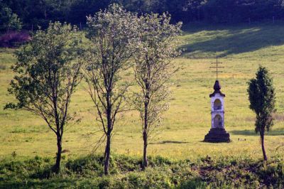 droga do polan 8813090438 o