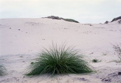 8813025684 89c2373fe9 o