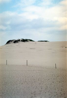 8813027668 4574e4fee8 o