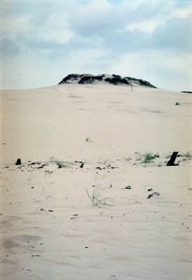 8813028008 25e057bc7c o