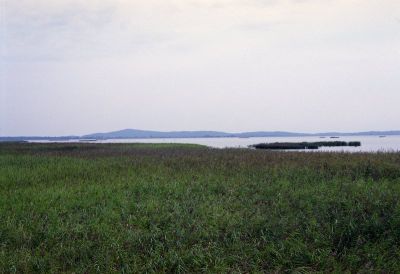 8813032822 1b085f8e42 o