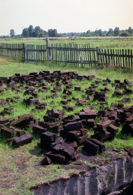 8813034618 3fb65244f5 o