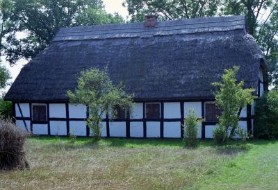 8813036014 dcbc578fdf o