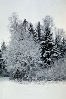 8812869914 6469320e15 o