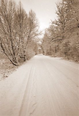 8812872840 bfb808221e o