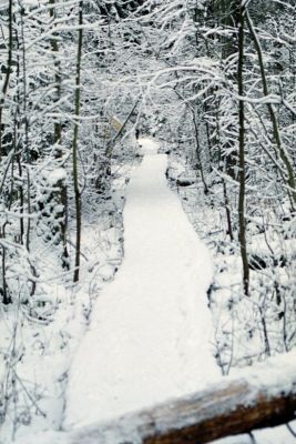 8812874822 47186afa9f o