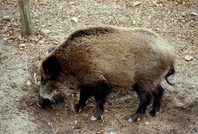 8812880928 1f162a142d o