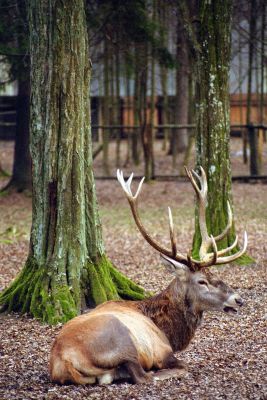 8812882588 275fdd20f6 o