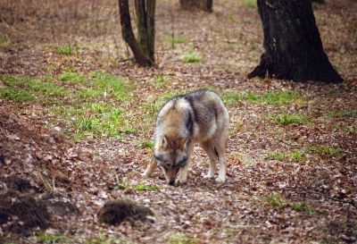 8812884514 9286ff9a5b o