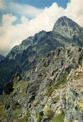 8812791524 6068ded782 o