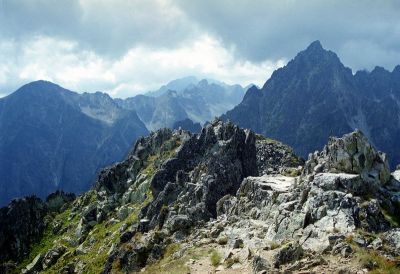 8812791962 2cb62324d6 o