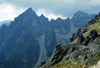 8812793532 6f2888a2be o