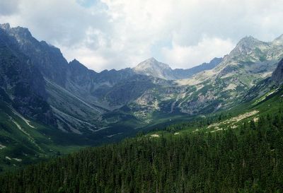 8812815658 694e28ec99 o