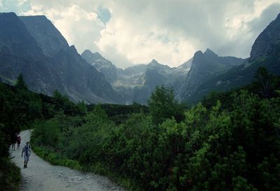 8812818210 18bc3de3e4 o