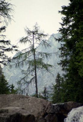 8812822630 eb59262c40 o