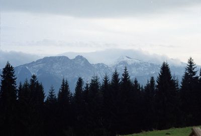 8802031091 e2d5cc9593 o